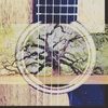 guitard53